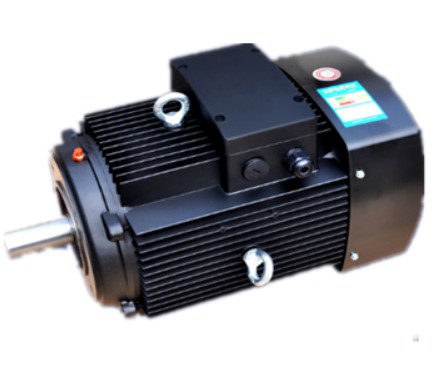 YE3系列多(duo)級泵專用(yong)電機