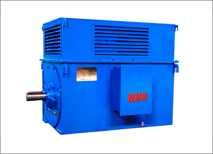 Y系列高壓高(gāo)效三相異步(bu)電動機