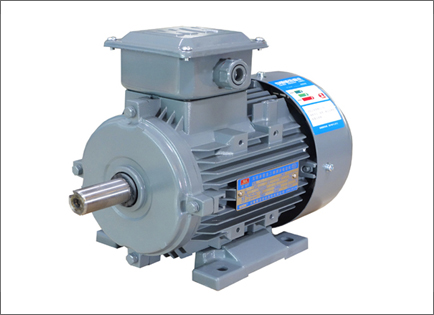 YXL系列高效率鋁機(jī)殼三相異步電動(dong)機