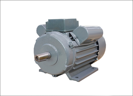 YL系列(lie)雙值電容異步(bù)電動機