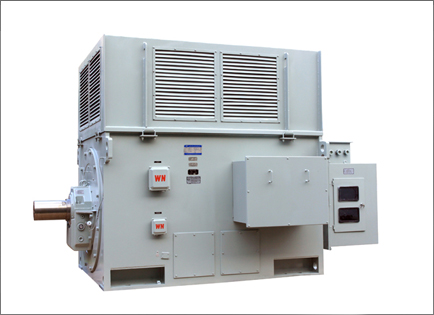 YR系列高(gao)壓三相異步(bu)電動機