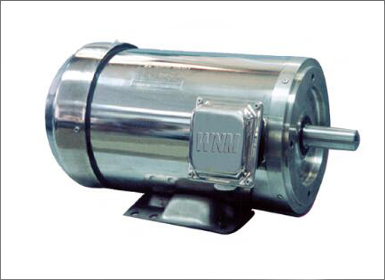 NS系(xi)列超(chao)高效(xiao)不鏽(xiu)鋼三(san)相異(yi)步電(dian)動機(ji)